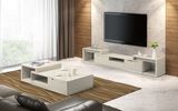 High Gloss Furniture Functional TV Stand (DS-2020)