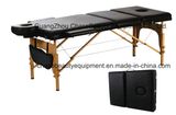 Special Style Facial Bed for Salon Massage Used Equipment Sale
