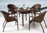 Modern Aluminum Wicker Dining Set (DS-06013)