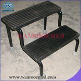 Double Steps Stool