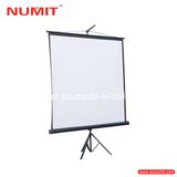 Matte White Tripod Screen with Portable Standing