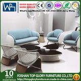 Classic Designed Outdoor Furniture Garden Sofa Patio Sofa (TG-1219)