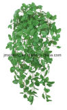 Hot Sales Hotel Decoration Artificial Plant Green Fitonia