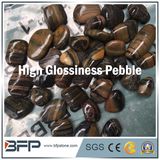 Grain Vein Pebble River Stone for Home Decor, Swimming Pool, Garden, Landscape