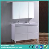 Luxury European Room Using Bathroom Cabinet (LT-C052)