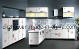Kitchen Cabinet of Color Painting UV Board and Wardrobe Cabinets Door (ZH-C868)