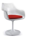 Fashion ABS Plastic Outdoor Leisure Chair (SZ-ABS533)