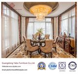 Superior Restaurant Furniture for Hotel Chair Set (DR-01)