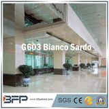 G603 Bianco Sardo Chinese Stone Granite for Floor Tile