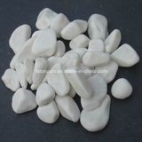 Popular Decorative Garden White Stone Pebbles