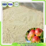 Water-Soluble Apple Pectin Provided by Pectin Producer