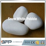 Snow White Pebble/River Stone in Project Garden Landscpae Decoration