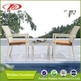 Foshan Rattan Chair, Leisure Chair (DH-9643)