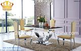 Hot Sale 2016 Dining Sets Sj806 and Chair Cy213z
