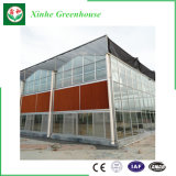 Glass Greenhouse for Planting with Integrated Control System