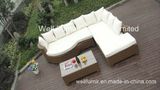 Wicker Sectoinal Sofa Set/Garden Furniture/Rattan Sofa Set/Rattan Outdoor Sofa