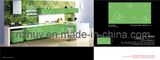 Wooden UV Color Painting Panel for Kitchen Cabine (ZH-C838)