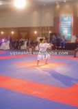 High Quality EVA Tatami Mat, Professional EVA Tatami Mats