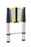 Economy Telescopic Ladder with 12 Treads