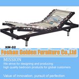 Antique Fashionable Electric Bed