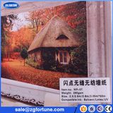 High Qualilty Non Woven Fabric Wall Paper, Non Woven Wallpaper