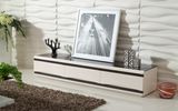 Living Room Furniture Modern TV Stand (DS-147)