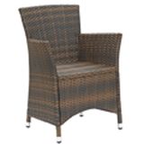 PE Wicker Dining Chair (RC-06023)