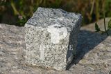 Light Grey Granite Paving Stone for Outdoor Project