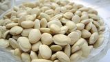 White Hyacinth Bean Extract Dolichos Extract 10: 1