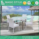 Aluminum Drawing Dining Set Rattan Dining Set (Magic Style)