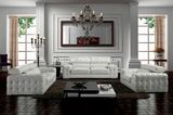 Living Room Genuine Leather Sofa (SBO-2726)