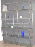 Simple Style Modern Glass Office Bookcase (SJ04)