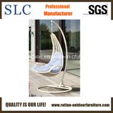 Popular Swing Rattan Lounge (SC-B8910)