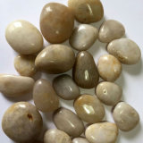 2-3cm White High Polished Natural Cobble &Pebble Stone (SMC-PW048)
