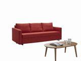 Home Furniture Classic Design Comfortable Sofa Bed