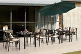 Outdoor /Rattan / Garden / Patio / Hotel Furniture Polywood Furniture Chair & Table Set (HS 3001C&HS 7115DT)