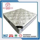 Cheap Compress Spring Mattresss Tight Top for Canada and Australia