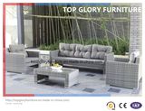 New Design Outdoor/Patio Furniture Sofa Set (TG-027)