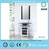 Modern Slim Bathroom Glass Vanity (BLS-2146)