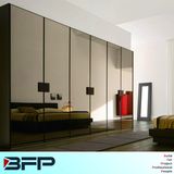 Mirror Wardrobe Closet Cabinet