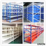 Selective Long Span Shelving in Warehouse