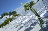 Plastic Tiffany Wedding Chair