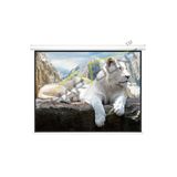 Motorized Electric Projection Screen Remote Control
