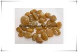 Supply Cobble Stone for Garden Decoration