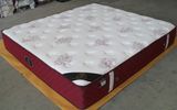 Foam Mattress/Comfortable Mattress/Bedroom Furniture