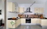 Birch Wood Kitchen Cabinet with Acrylic Insert (zs-217)