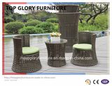 2PCS Popular Competitive Stacking Rattan Garden Vase Sofa Set (TGBS-004)