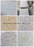 Multicolor Building Material Chinese Polished Granite Tile and Long Slab