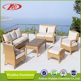 Newly Arrivals Outdoor Garden PE Rattan Sofa Set (DH-1056)