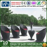 Outdoor Rattan Dining Set Patio Chair Garden Table Garden Furniture (TG-871)